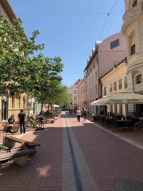 Novak Apartman Szeged Buitenkant foto